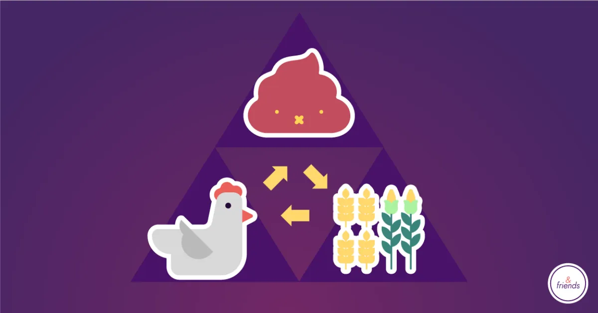 Illustration of a triangle ecosystem with a chicken, wheat, and manure connected by circular arrows.