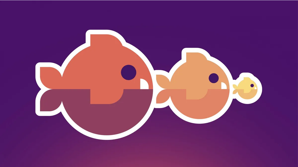 Three fish icons of decreasing size swimming in a row, illustrating a hierarchy of experience disciplines.